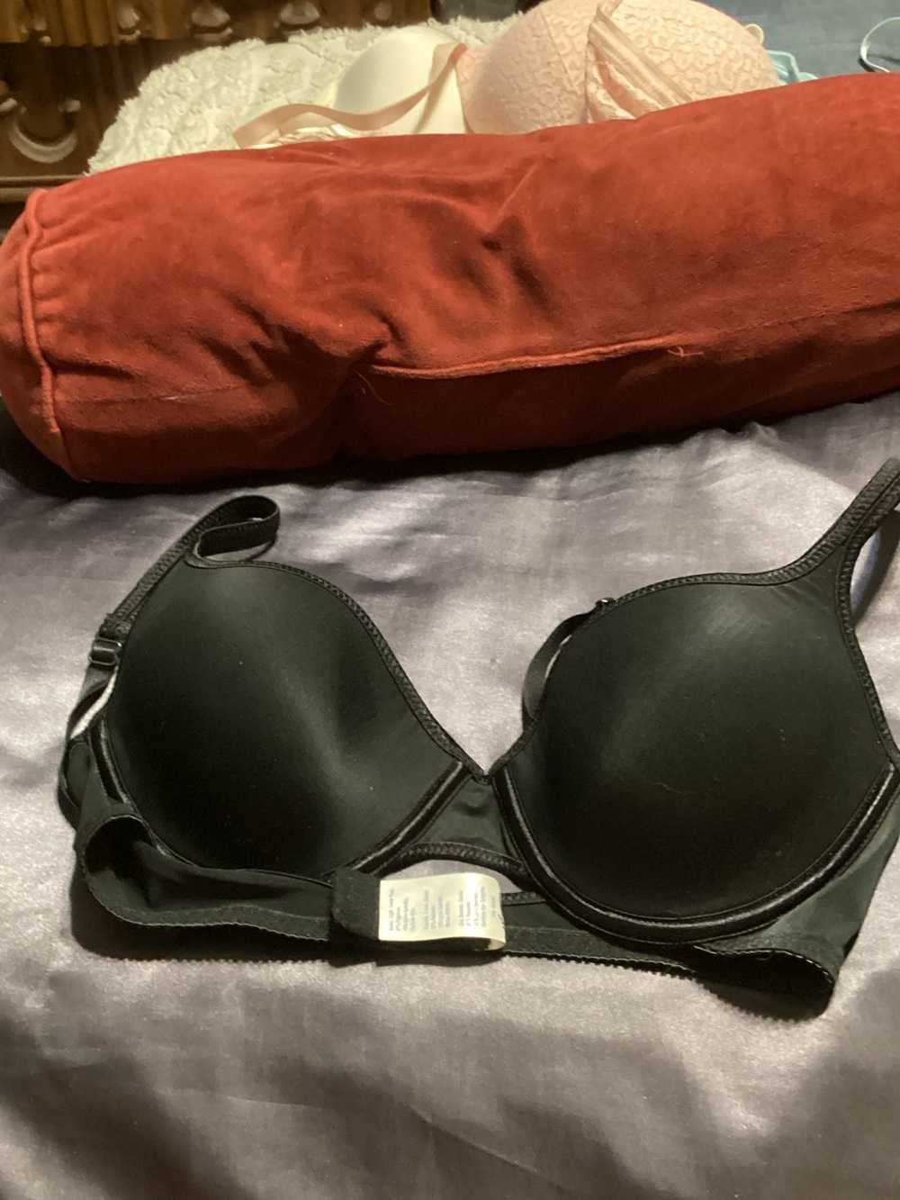 Vassarette bra